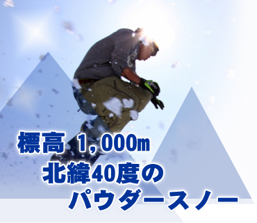 北緯40度のパウダースノー